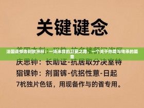 法国遗憾告别欧洲杯：一场未竟的卫冕之路，一个关于热爱与传承的篇章