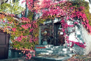 美因茨欧战资格梦碎，保级警钟再度敲响