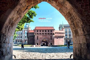 破晓重生：恒大重整旗鼓，剑指亚洲之巅