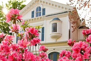 比利时大战罗马尼亚，亚亚·图雷迎来射门好时机！