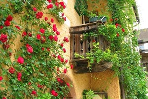 切尔西锋线暗流涌动：天才前锋与球队的“七年之痒”？