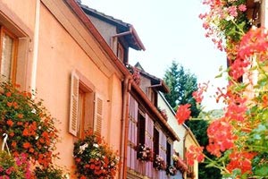 希腊联赛新秀惊艳亮相球迷齐声喝彩赞不绝口