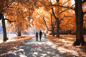 希腊联赛新秀惊艳亮相球迷齐声喝彩赞不绝口