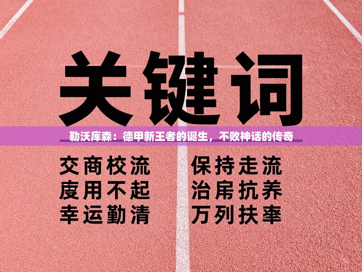 勒沃库森:德甲新王者的诞生,不败神话的传奇 第2张