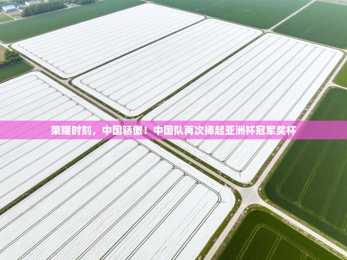 荣耀时刻，中国骄傲！中国队再次捧起亚洲杯冠军奖杯  第2张