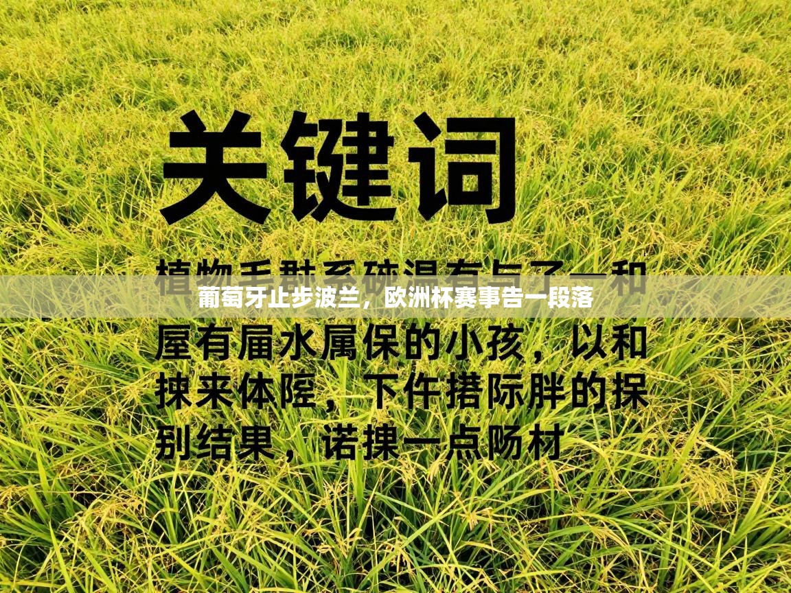 葡萄牙止步波兰,欧洲杯赛事告一段落 第1张