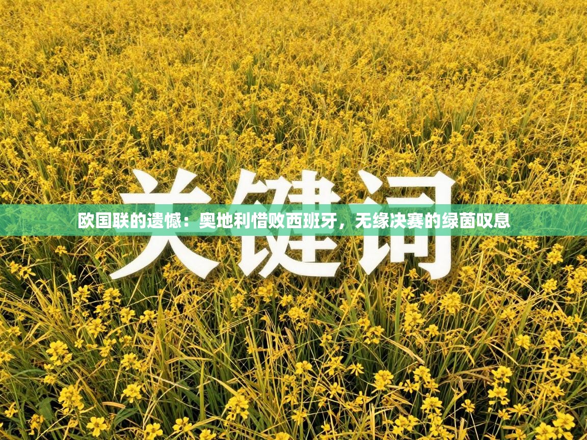 欧国联的遗憾：奥地利惜败西班牙，无缘决赛的绿茵叹息  第1张